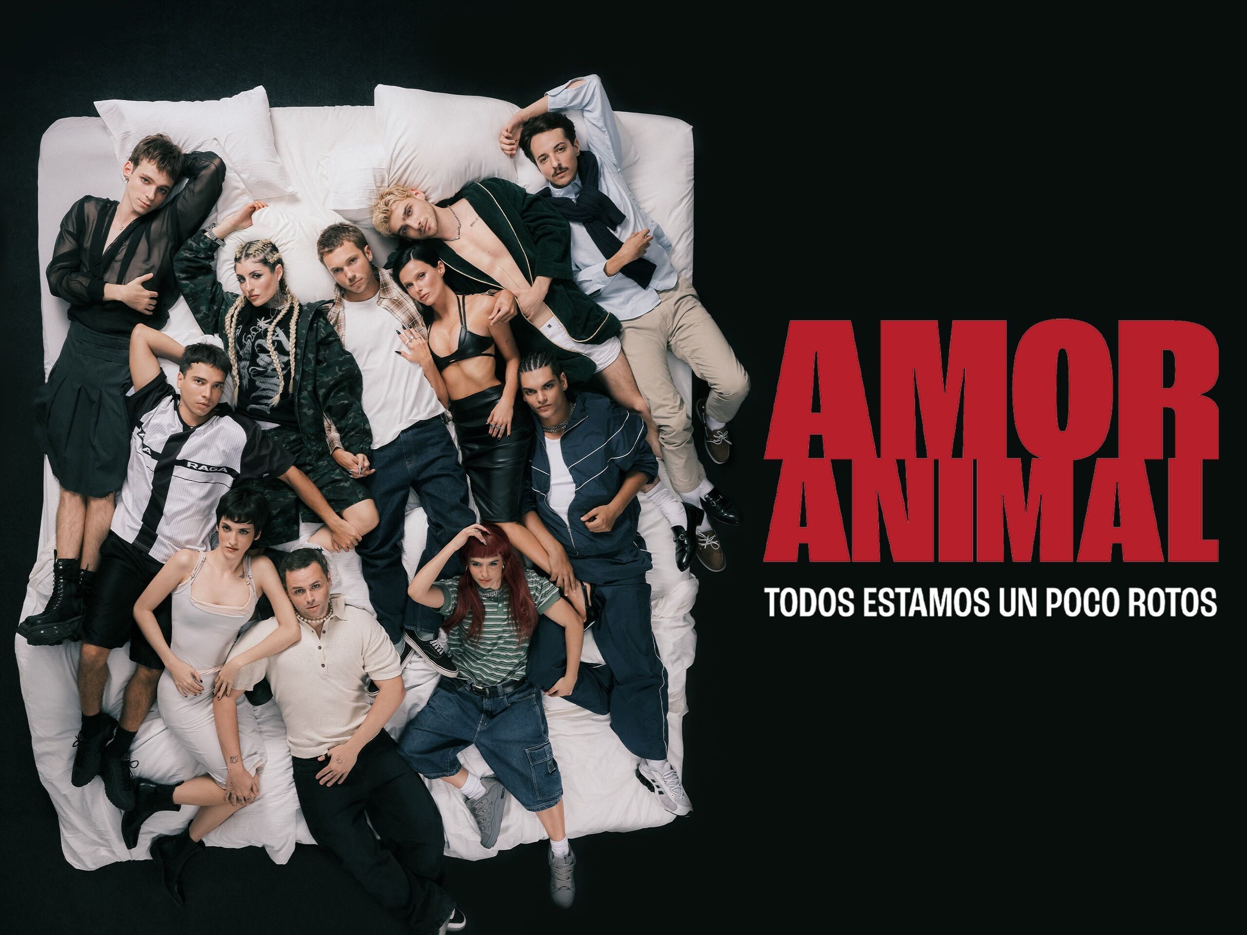 动物之爱 Amor Animal 2026