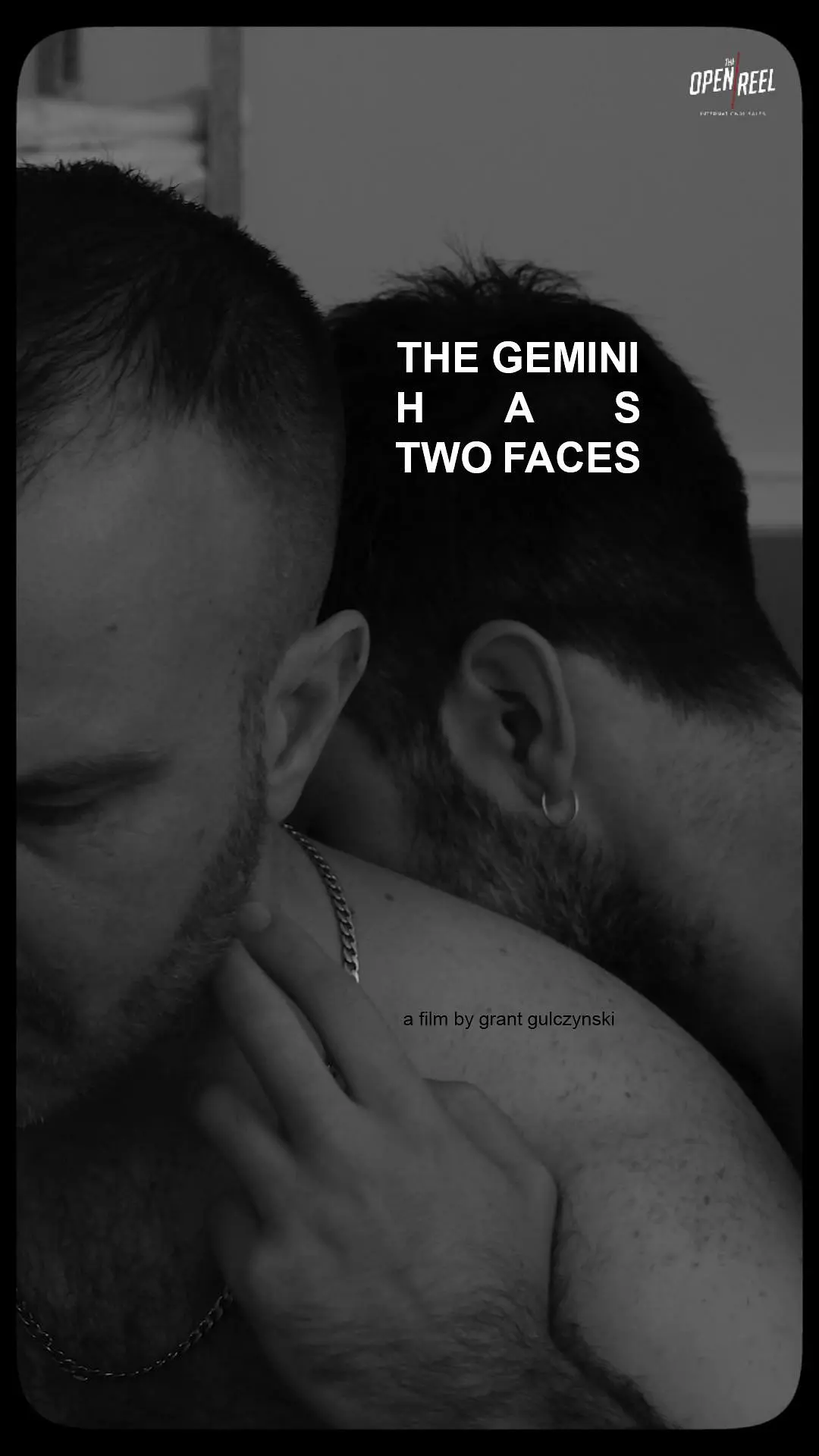 双子座有双面孔 The Gemini Has Two Faces 2023