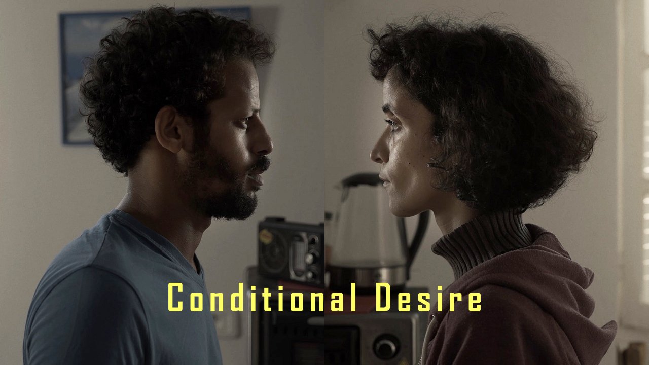 同志婚姻协定/Conditional Desire 2023