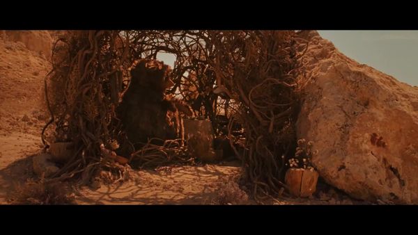 Houston, We Have a Crush