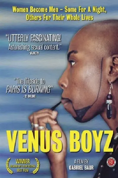 维纳斯男孩 Venus Boyz 2002