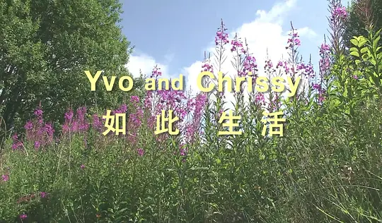 如此生活